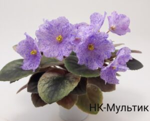НК-Мультик/ NK-Multyk