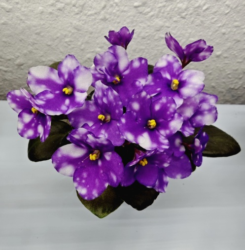 Hunter`s lil Pissah